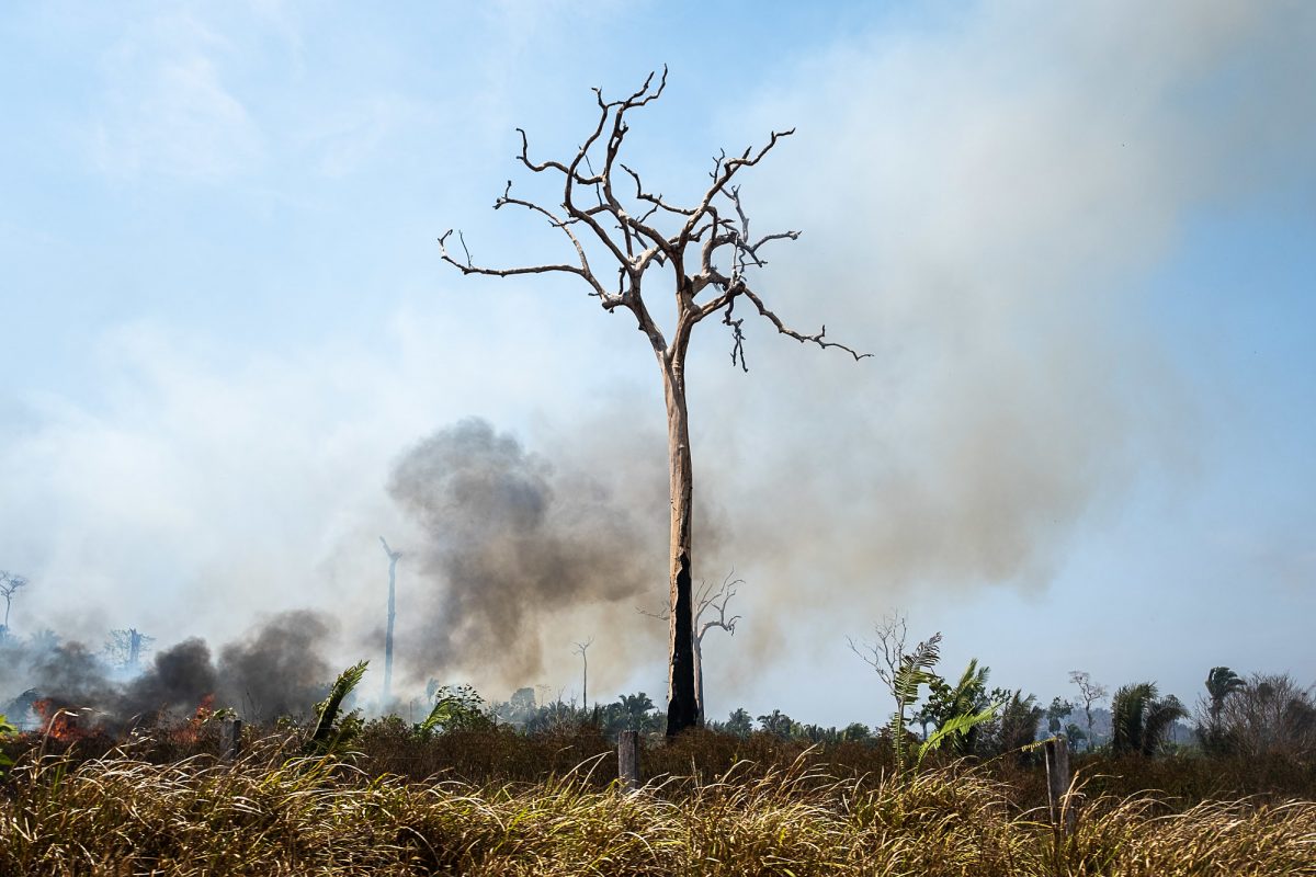 Área de queimada e desmatamento em Novo Progresso, Pará: emissões de gases de efeito estufa do Brasil tiveram em 2021 sua maior alta em quase duas décadas (Foto: Cícero Pedrosa neto/Amazônia Real - 02/09/2022)