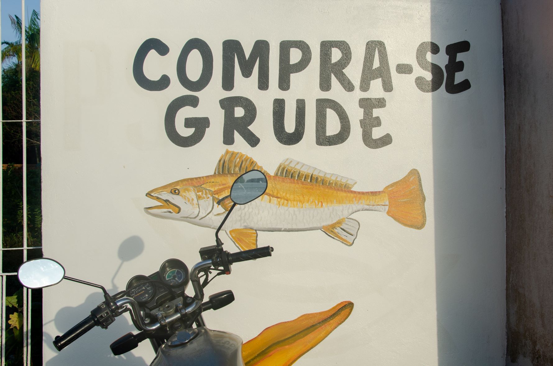 Cartaz em mercado de peixes em Vigia, Pará: corrida do ouro pelo grude (Foto: Sarita Reed/Diálogo Chino)