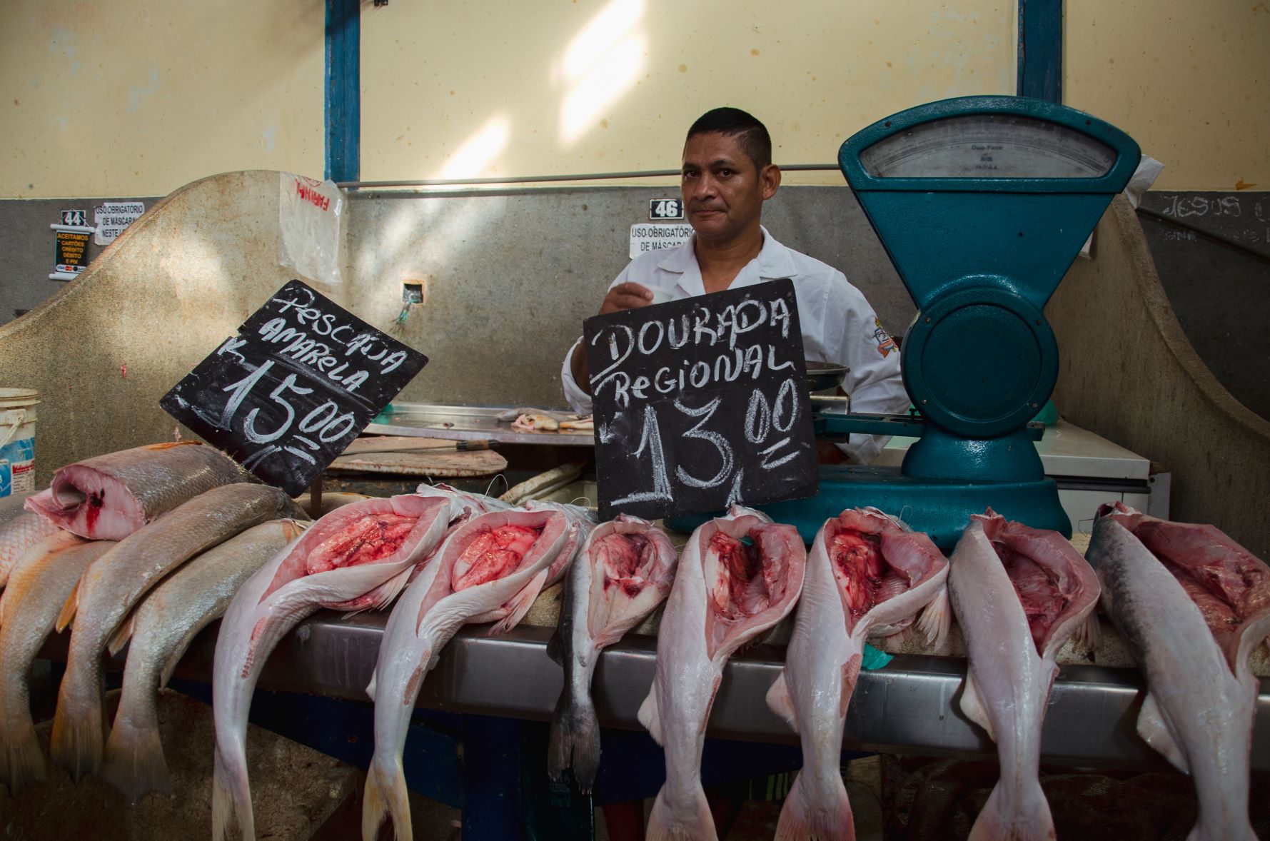 Venda de pescada-amarela, já sem grude, no mercado Ver-o-Peso de Belém: comércio milionário (Foto: Sarita Reed/DIálogo Chino)