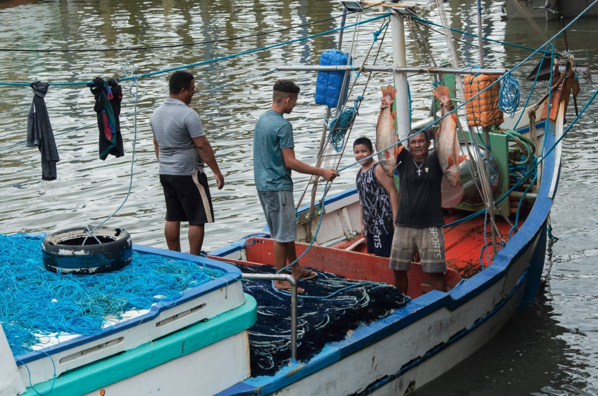 Pescadores com pescada amarela: bexigas natatórias, grude, do peixe são retirados no próprio barco para serem vendidos para a China (Foto: Sarita Reed/Diálogo Chino)