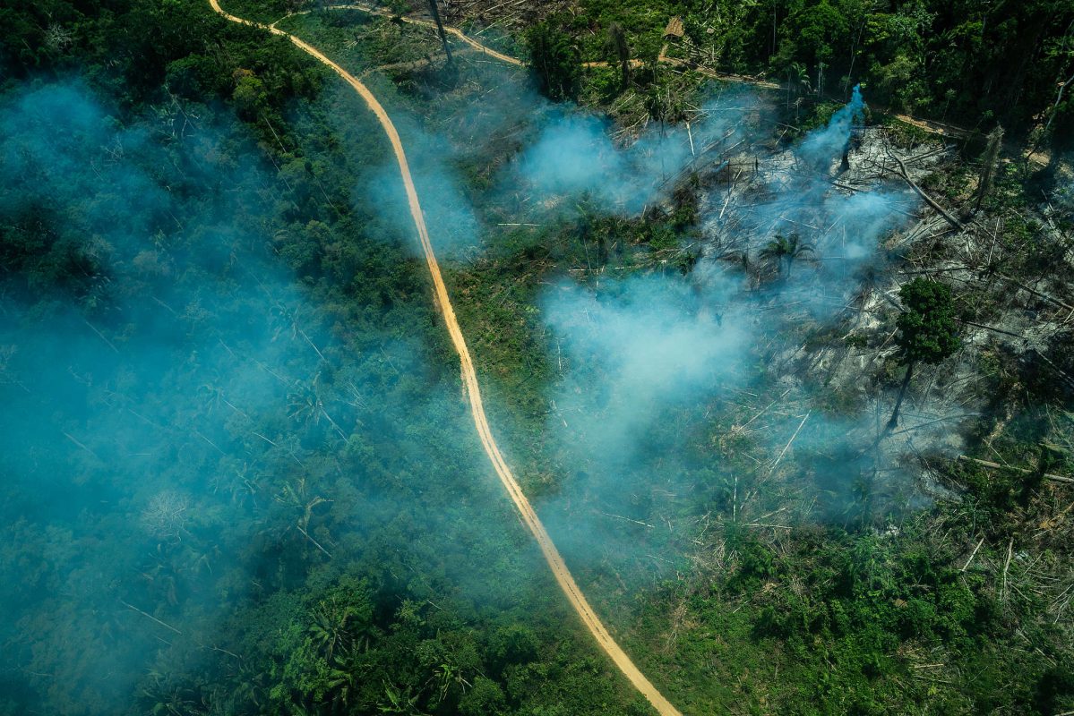 Queimada em área desmatada na TI Ituna Itatá, no Pará: Funai ameaça terras de indígenas isolados (Foto: Fábio Nascimento/Greenpeace/2019)
