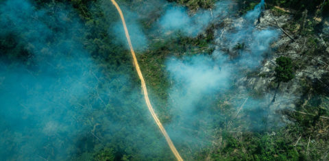 Queimada em área desmatada na TI Ituna Itatá, no Pará: Funai ameaça terras de indígenas isolados (Foto: Fábio Nascimento/Greenpeace/2019)