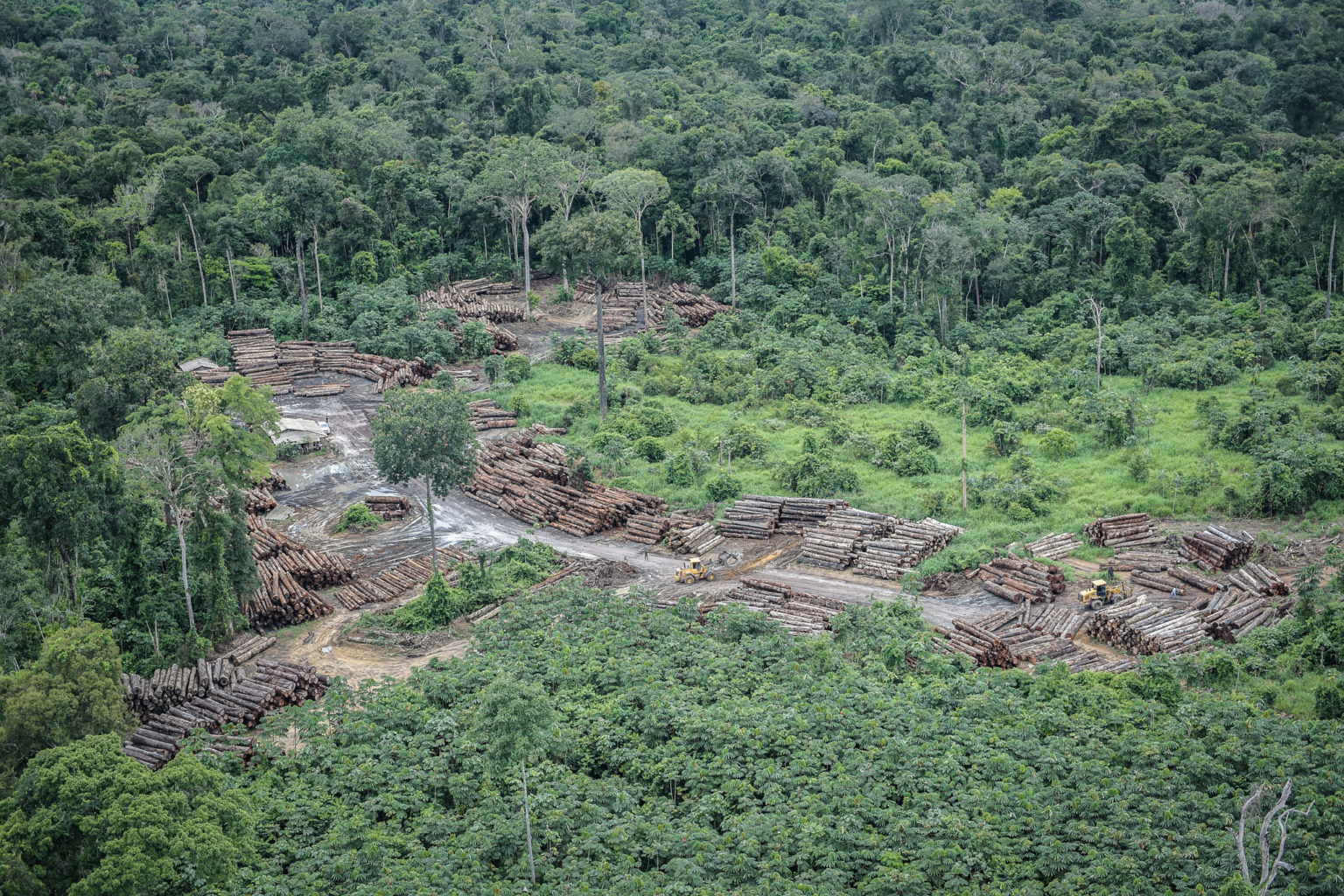 Desmatamento ilegal na Terra Indígena Pirititi, em Roraima: área cobiçada por madeireiros (Foto: Felipe Werneck/Ibama - 30/04/2018)