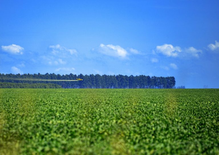 Avião pulveriza com pesticida plantação de soja no Oeste da Bahia: bolsas de reportagem para investigar impacto dos agrotóxicos (Foto: Miriam Fichtner)