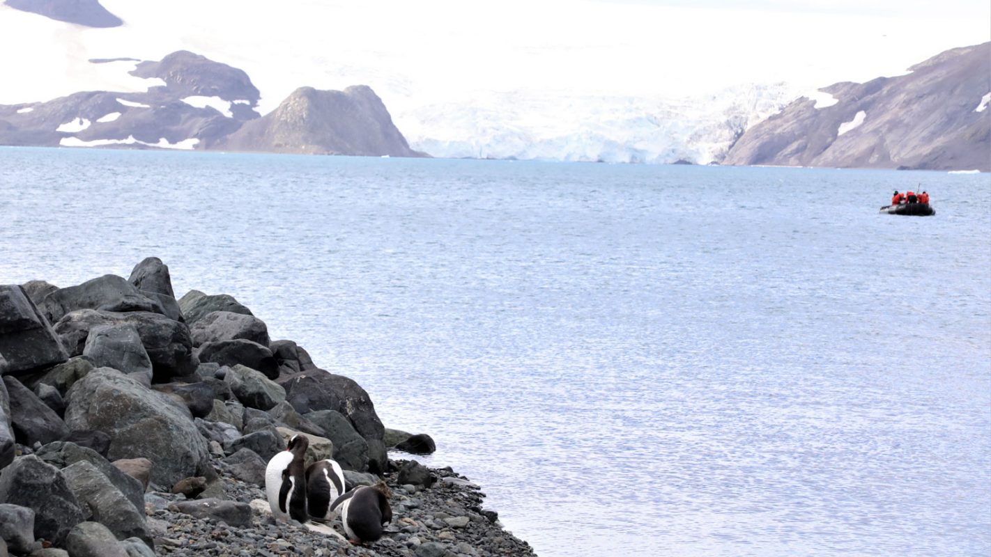 Pesquisadores no mar da Antártica: dados de estações meteorológicas no continente mostram que a temperatura da superfície do mar aumentou ao longo dos últimos 60 anos (Foto: LaGPoM/UFPR)