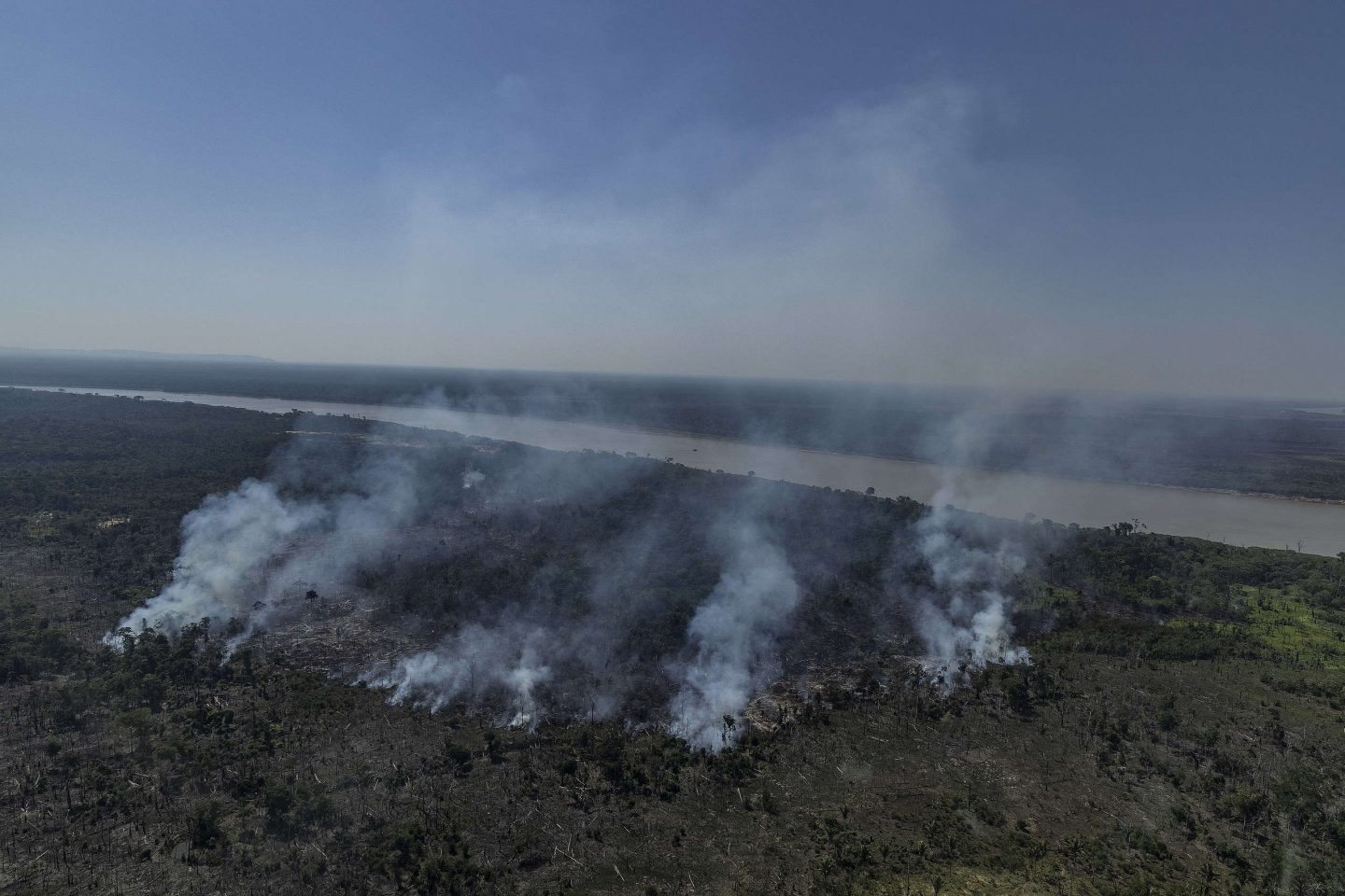 Área desmatada e queimada na Gleba João Bento, terra pública federal no Amazonas: exemplo do avanço da grilagem na região (Foto: Victor Moryama / Greenpeace - 09/2021)