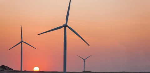 Parque de energia eólica em Aracati, Ceará: pesquisa mostra que eletricidade gerada por vento e sol já é mais de 10% (Foto: EPFL Renováveis / Divulgação)