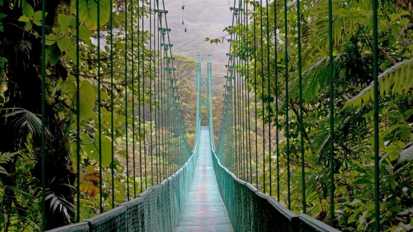Reserva Biológica do Bosque Nublado de Monteverde, um dos pontos turísticos mais visitados da Costa Rica: proteger a biodiversidade e torná-lo rendeu frutos financeiros ao país (Foto: Turismo da Costa Rica / Divulgação)