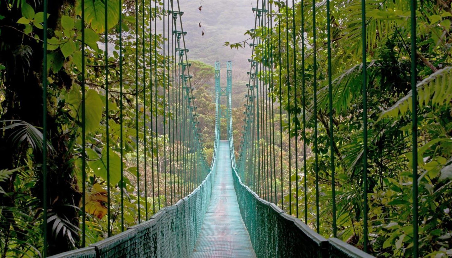 Reserva Biológica do Bosque Nublado de Monteverde, um dos pontos turísticos mais visitados da Costa Rica: proteger a biodiversidade e torná-lo rendeu frutos financeiros ao país (Foto: Turismo da Costa Rica / Divulgação)
