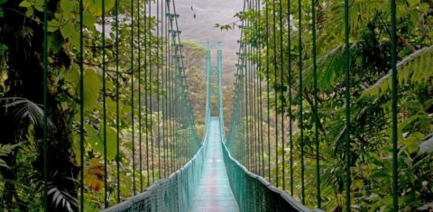 Reserva Biológica do Bosque Nublado de Monteverde, um dos pontos turísticos mais visitados da Costa Rica: proteger a biodiversidade e torná-lo rendeu frutos financeiros ao país (Foto: Turismo da Costa Rica / Divulgação)