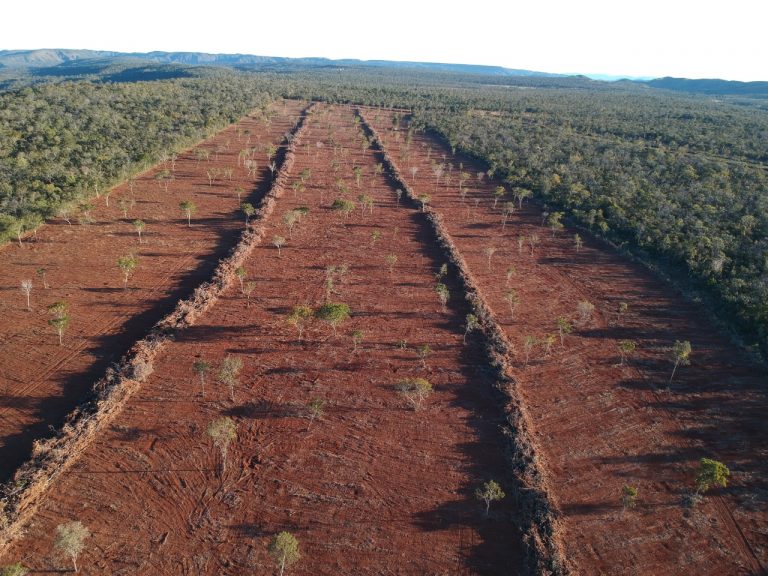 Área de cerrado desmatada ilegalmente em propriedade particular em Goiás: Código Florestal completa 10 anos sob ataques (Foto: Semad/Goiás - 23/06/2020)