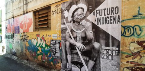 Painel em homenagem ao Cacique Raoni em Goiânia: líder indígena homenageado em 50 cidades no mês do Meio Ambiente (Foto: Muquifu Cultural)