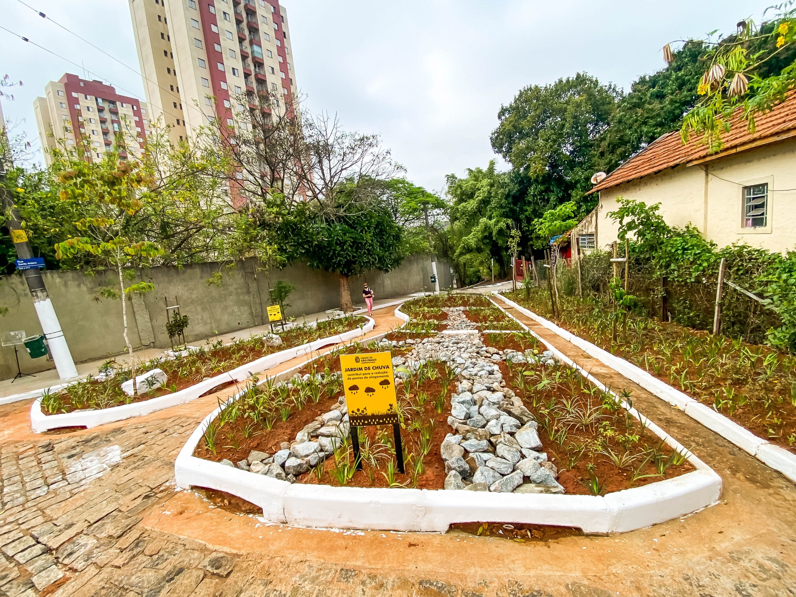 Jardim de chuva na Zona Leste de São Paulo: solução baseada na natureza para minimizar inundações (Foto: Prefeitura de São Paulo)