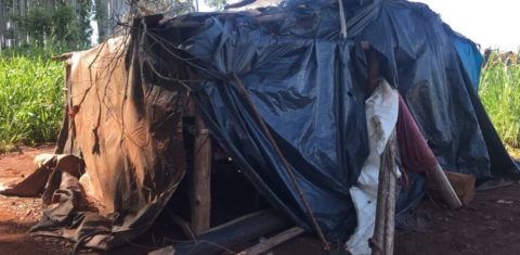 Barraca onde indígenas viviam para trabalho análogo à escravidão em Ponta Porã (MS): mais de 1600 já foram resgatados por fiscais (Foto: Superintendência Regional do Trabalho/MS - 19/04/2022)