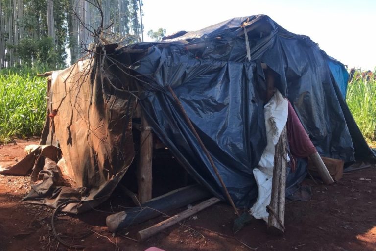 Barraca onde indígenas viviam para trabalho análogo à escravidão em Ponta Porã (MS): mais de 1600 já foram resgatados por fiscais (Foto: Superintendência Regional do Trabalho/MS - 19/04/2022)