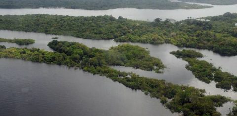 Dia da Amazônia, 5 de setembro, será celebrado em grande estilo em eventos culturais gratuitos por todo o país (Foto: Valter Campanato / Agência Brasil)