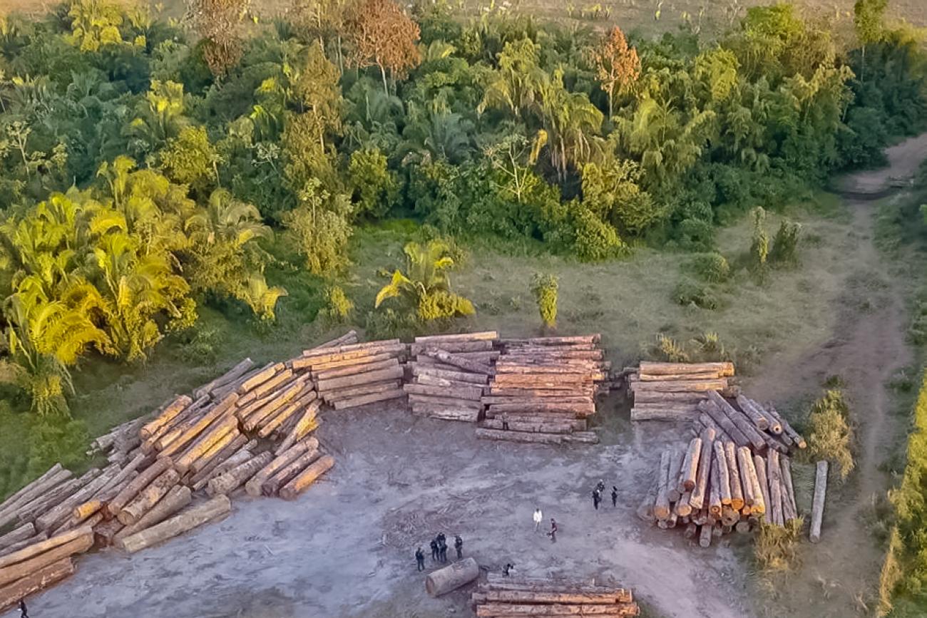 Operação contra desmatamento e extração ilegal de madeira no Pará: relatório aponta mudanças legislativas e regulatórios que afetam povos indígenas e proteção das florestas no Brasil (Foto: Agência Pará - 11/08/2019)