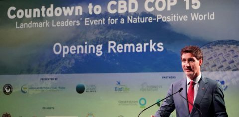 O primeiro-ministro do Canadá, Justin Trudeau, em evento preparatório para a COP15: mercado de carbono no debate sobre biodiversidade (Foto: Bryan R. Smith / AFP - 20/09/2022)