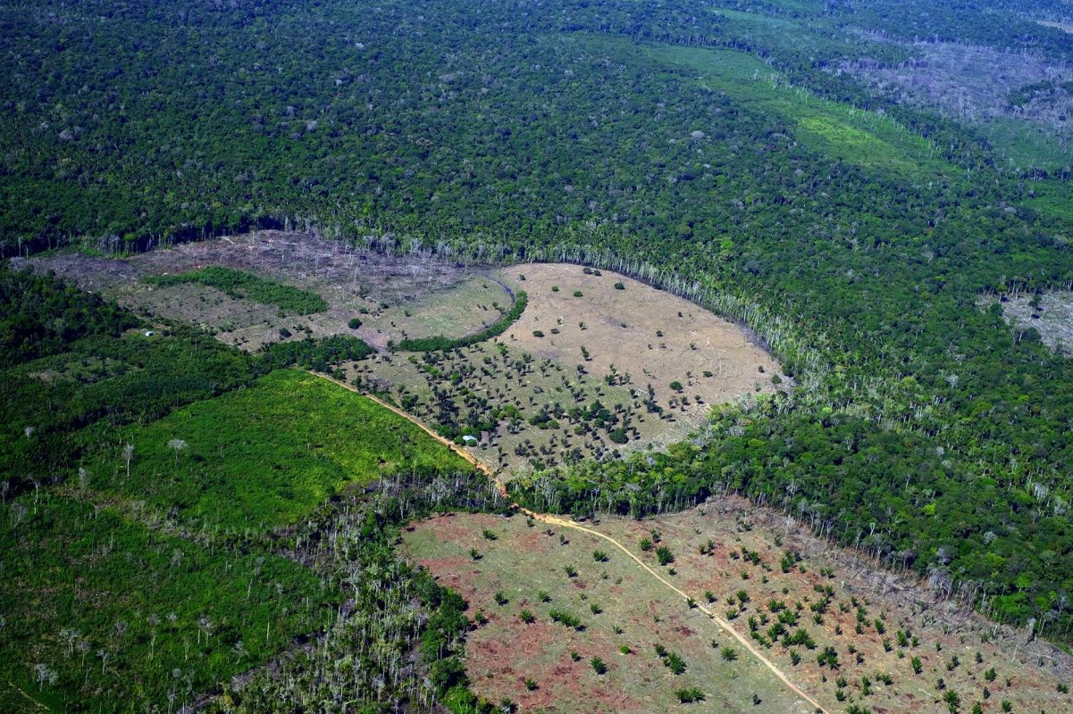 Áreas desmatadas em Careiro da Várzea, no Amazonas, próximo às Terras Indígenas do povo Mura: União Europeia aprova lei contra desmatamento (Foto: Alberto César Araújo/Amazônia Real 16/07/2022)