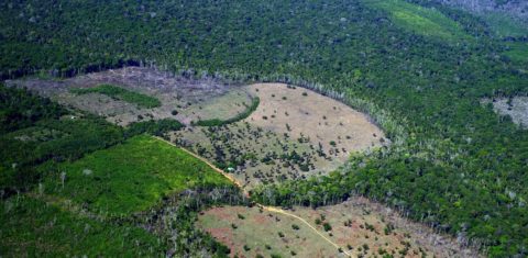 Áreas desmatadas em Careiro da Várzea, no Amazonas, próximo às Terras Indígenas do povo Mura: União Europeia aprova lei contra desmatamento (Foto: Alberto César Araújo/Amazônia Real 16/07/2022)