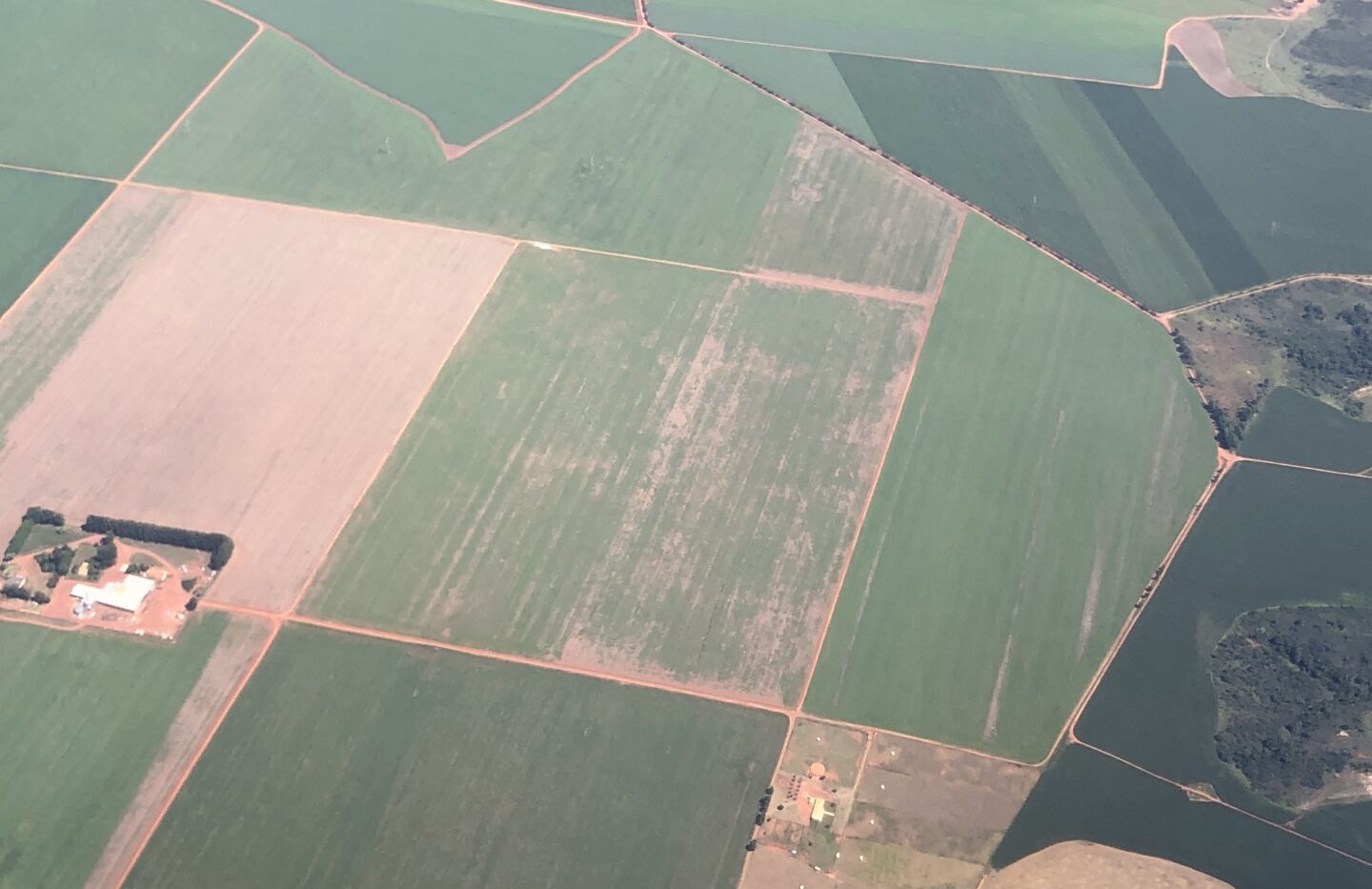 O desmatamento no Cerrado aumentou Área desmatada do Cerrado em Goiás: desmatamento no bioma subiu 25,3% no último ano do mandato de Bolsonaro (Foto: Observatório do Clima)