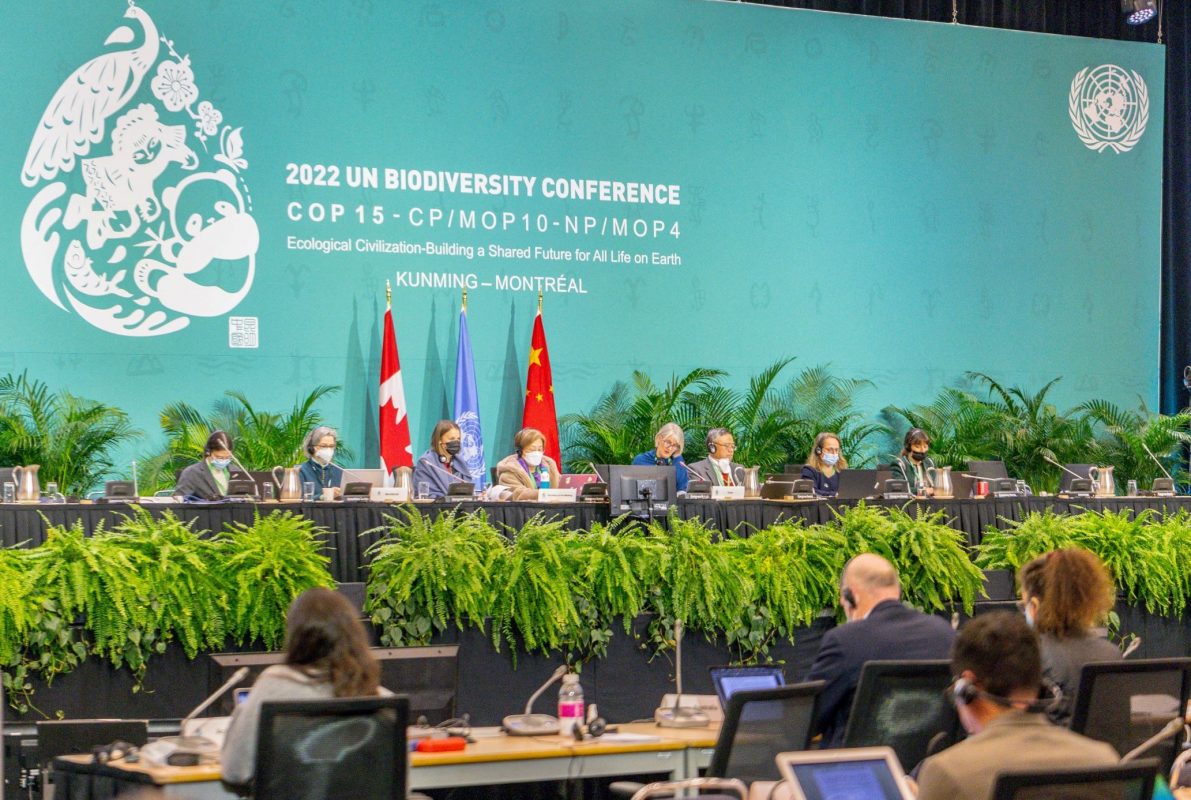 Plenária final da COP15 da Biodiversidade em Montreal: acordo histórico para proteger terras, águas doces e oceanos (Foto: David Himbert / AFP)