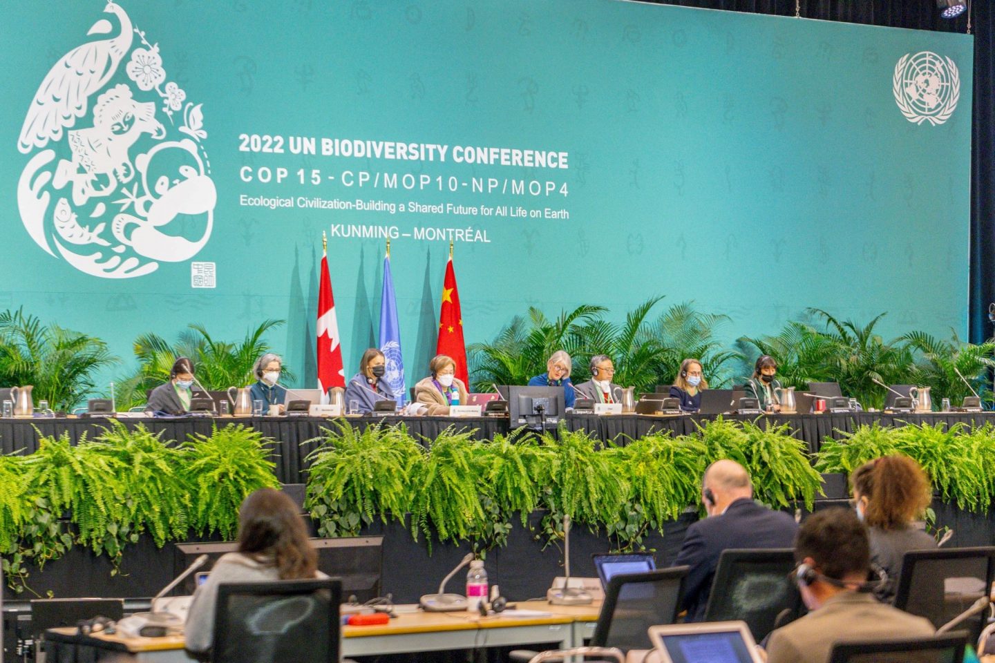 Plenária final da COP15 da Biodiversidade em Montreal: acordo histórico para proteger terras, águas doces e oceanos (Foto: David Himbert / AFP)