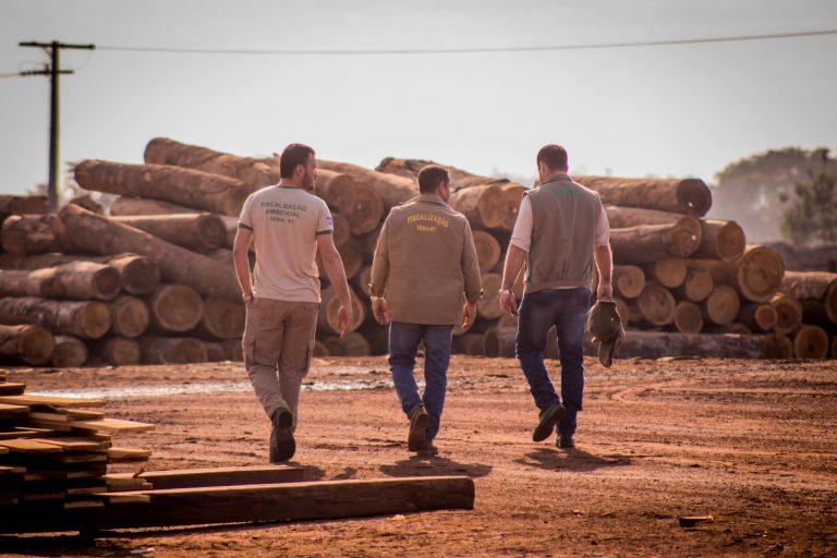 Operação contra o desmatamento em Mato Grosso: Monitor de Fiscalização, lançado pelo MapBiomas, revela impunidade de quem desmata (Foto: Christiano Antonucci / Secom-MT - 15/08/2019)