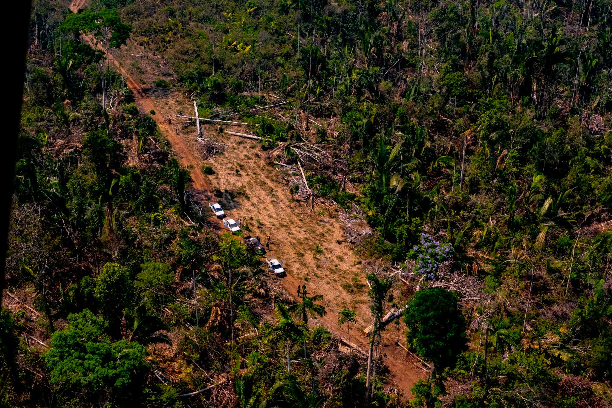 Operação de fiscalização do Mato Grosso flagra desmatamento na floresta: estado é exemplo em ações eficazes de combate (Foto; Mayke Toscano / Secom-MT - 29/08/2019)