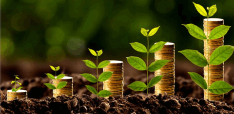 Bioeconomia: artigo alerta para modelo envolvendo agronegócio