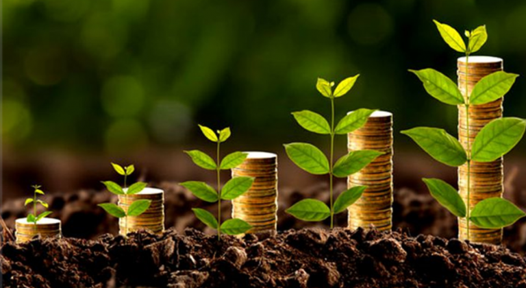 Bioeconomia: artigo alerta para modelo envolvendo agronegócio