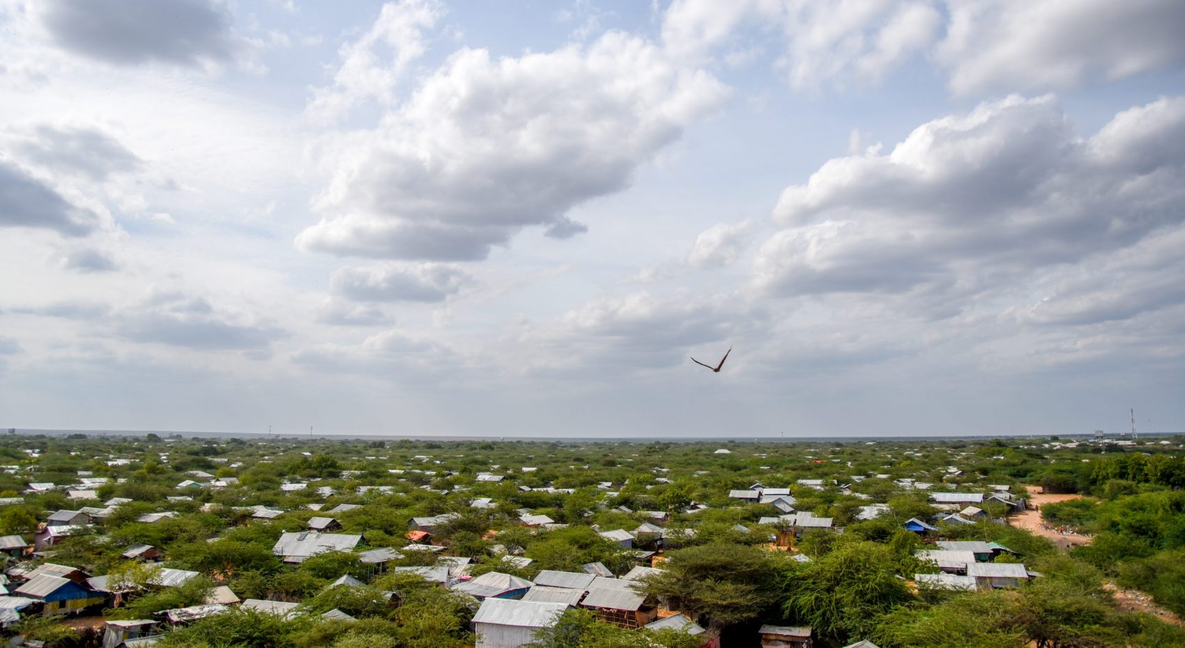 Dadaab, hoje, é o terceiro maior campo de refugiados do mundo. Segundo a Acnur, há cerca de cem milhões de pessoas em situação de refugiados globalmente. Foto Paul Odingo/MSF