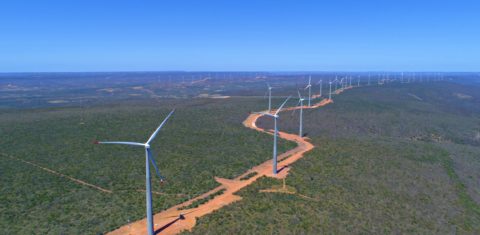 Parque Eólico Lagoa dos Ventos, da Enel (Foto: divulgação)