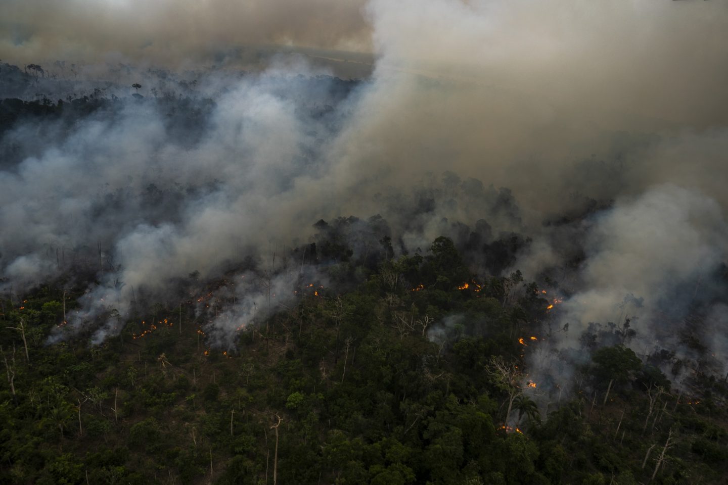 Vista aérea da fumaça subindo de um desmatamento ilegal na Amazônia, em Porto Velho, Rondônia. Em vez de absorver, a floresta está emitindo carbono. Foto Mauro Pimentel/AFP