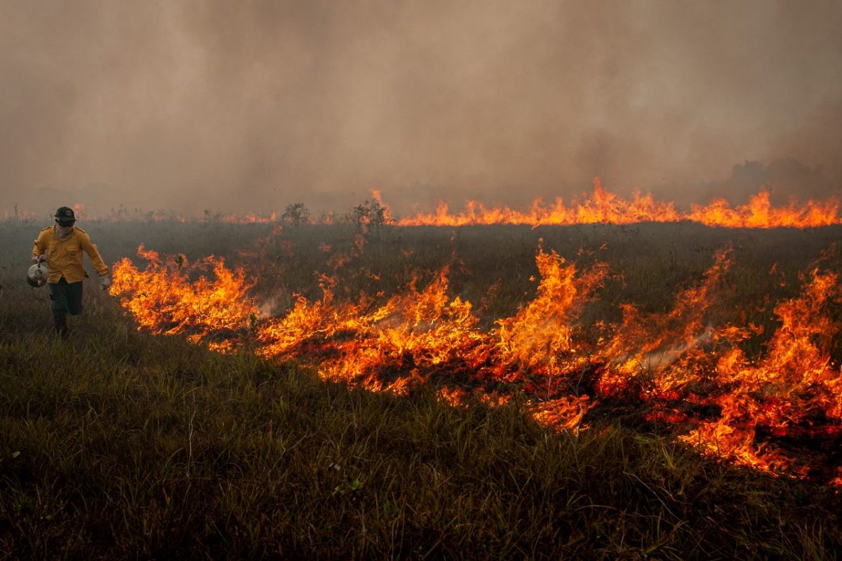 Combate a incêndio na floresta: estudo aponta 38% da Amazônia sofre com degradação (Foto: Vinicius Mendonça / Ibama)