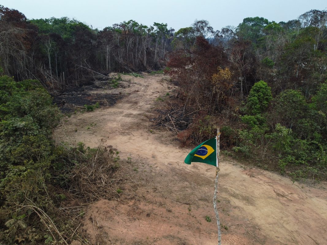 Vista aérea de uma área desmatada e queimada em Manicoré, às margens da rodovia Transamazônica (BR-230), enfeitada com a bandeira do Brasil. Foto Michael Dantas/AFP