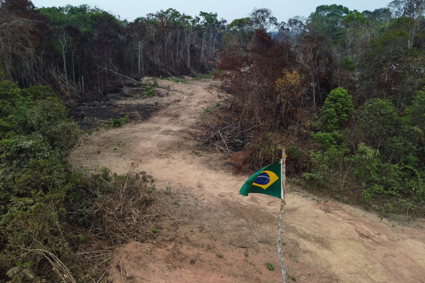 Vista aérea de uma área desmatada e queimada em Manicoré, às margens da rodovia Transamazônica (BR-230), enfeitada com a bandeira do Brasil. Foto Michael Dantas/AFP