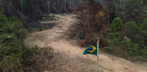 Vista aérea de uma área desmatada e queimada em Manicoré, às margens da rodovia Transamazônica (BR-230), enfeitada com a bandeira do Brasil. Foto Michael Dantas/AFP