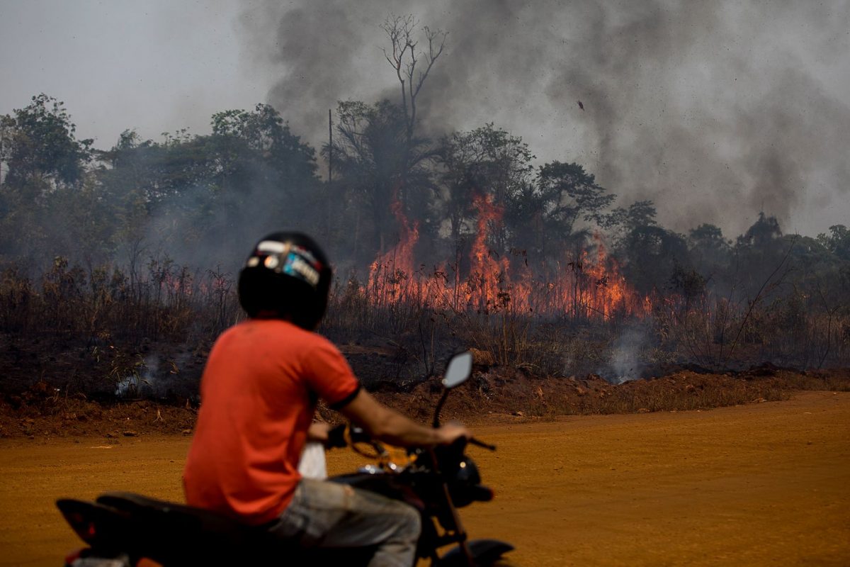 Área queimada e desmatada às margens da BR-319 próxima a Porto Velho: desmatamento no entorno da rodovia aumentou 122% após anúncio de asfaltamento (Foto: Bruno Kelly/Amazônia Real - 12/08/2020)