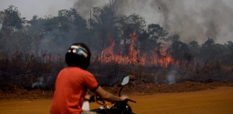 Área queimada e desmatada às margens da BR-319 próxima a Porto Velho: desmatamento no entorno da rodovia aumentou 122% após anúncio de asfaltamento (Foto: Bruno Kelly/Amazônia Real - 12/08/2020)