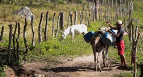 Nordestinos vivem expectativa da volta das cisternas ao Semiárido