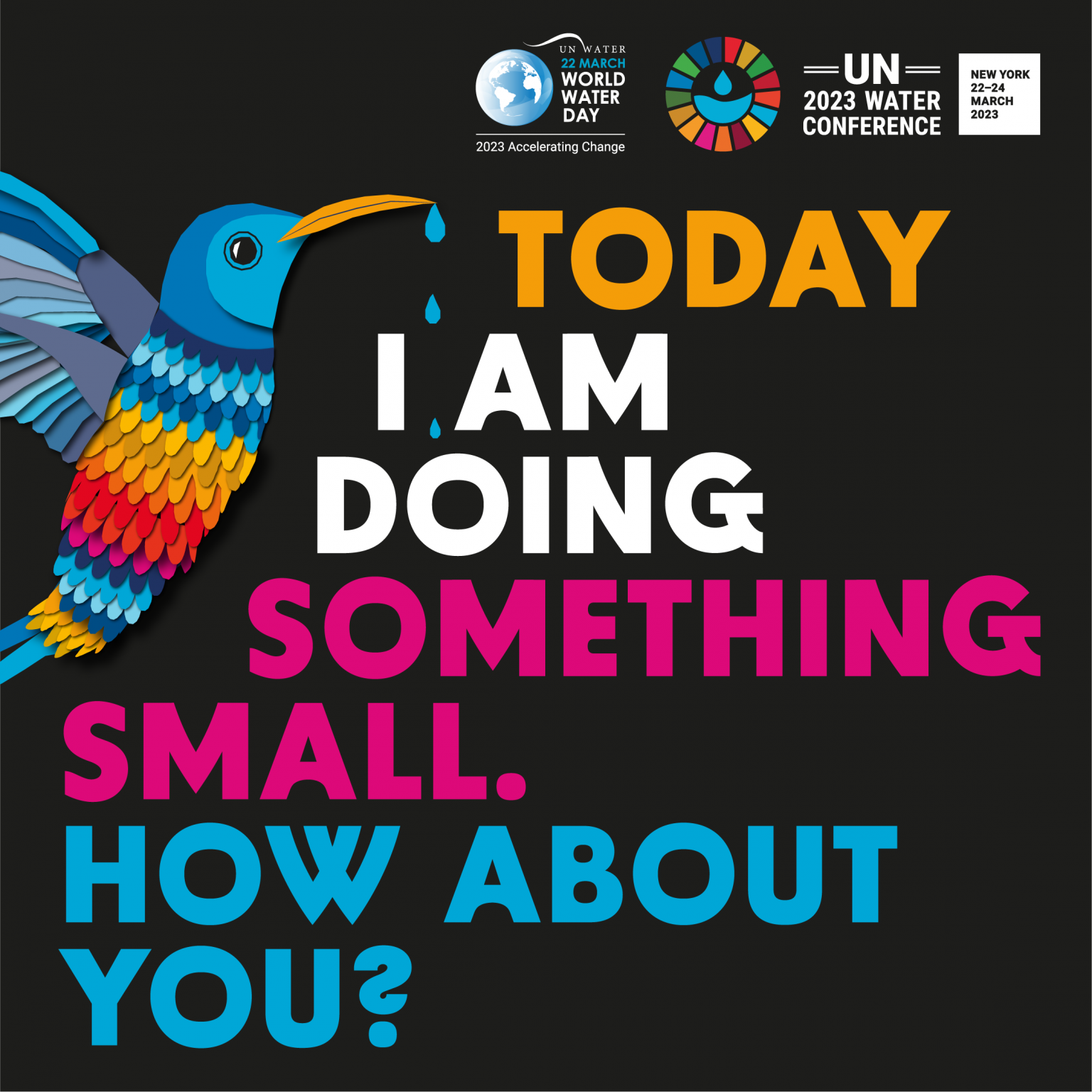 Cartaz da Conferência das Nações Unidas para a água incentiva as ações individuais. Foto Reprodução