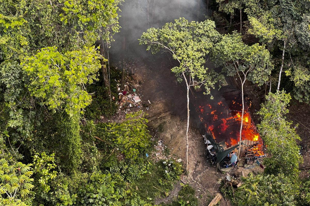 Vista aérea de uma casa de garimpeiros ardendo em chamas após ser incendiada durante uma operação do Ibama contra o desmatamento e o garimpo ilegal na Amazônia. Foto Alan Chaves/AFP