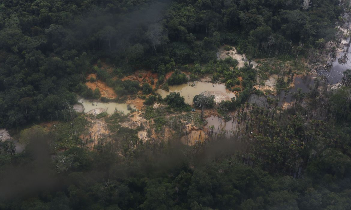 Garimpo em terra indígena na Amazônia: STF suspende “presunção de boa fé” de compradores do ouro (Foto: Fernando Frazão / Agência Brasil)