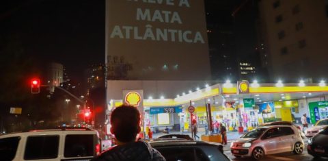 Projeção em São Paulo defende Mata Atlântica: Câmara aprova medida que facilita desmatamento no bioma (Foto: Fundação SOS Mata Atlântica)