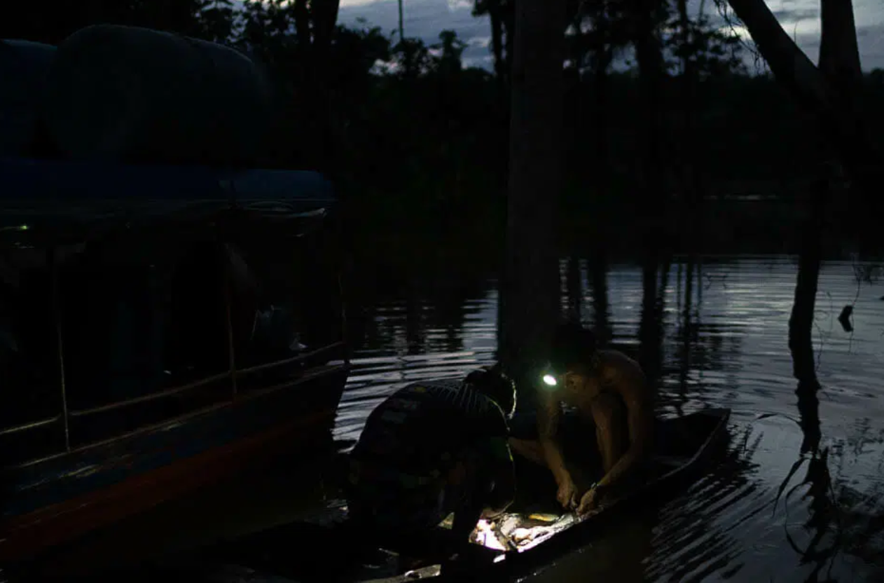 Indígenas tratam peixe para o jantar na base da vigilância territorial Kanamari, na região do Médio Rio Javari, na Ti Vale do Javari (Foto: Bruno Kelly/Amazônia Real)