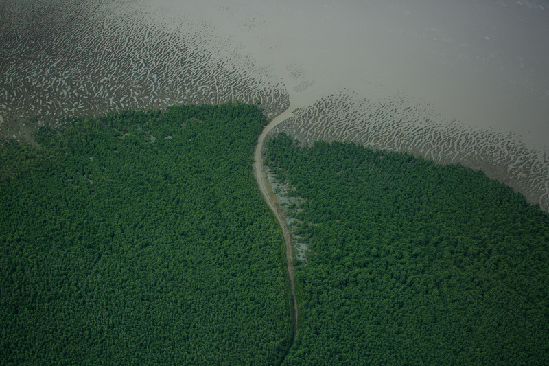 Foz do Amazonas, no Amapá: biomas variados, como mangues e florestas tropicais, e o Recife de Corais da Foz do Amazonas, recém-descoberto e já ameaçado pela exploração de petróleo. Foto Victor Moriyama/Greenpeace