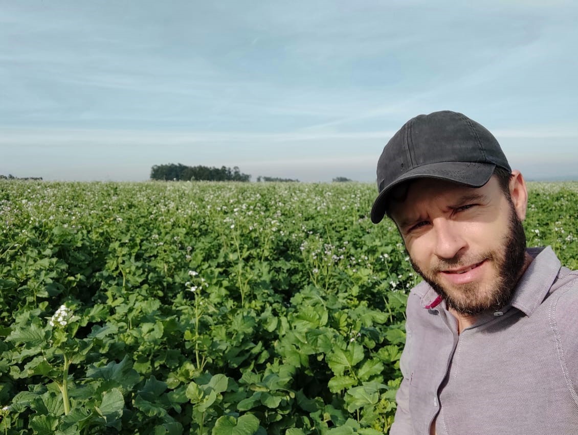 O agricultor Maurício Piccin e sua lavoura de nabo forrageiro: aposta na agricultura regenerativa (Foto: Arquivo Pessoal)