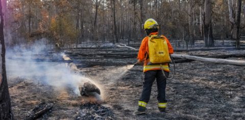 Combate a queimadas em área de Cerrado no Distrito Federal: bioma tem 82% do desmatamento em propriedades privadas (Foto: Joel Rodrigues/Agência Brasília - 10/09/2021)