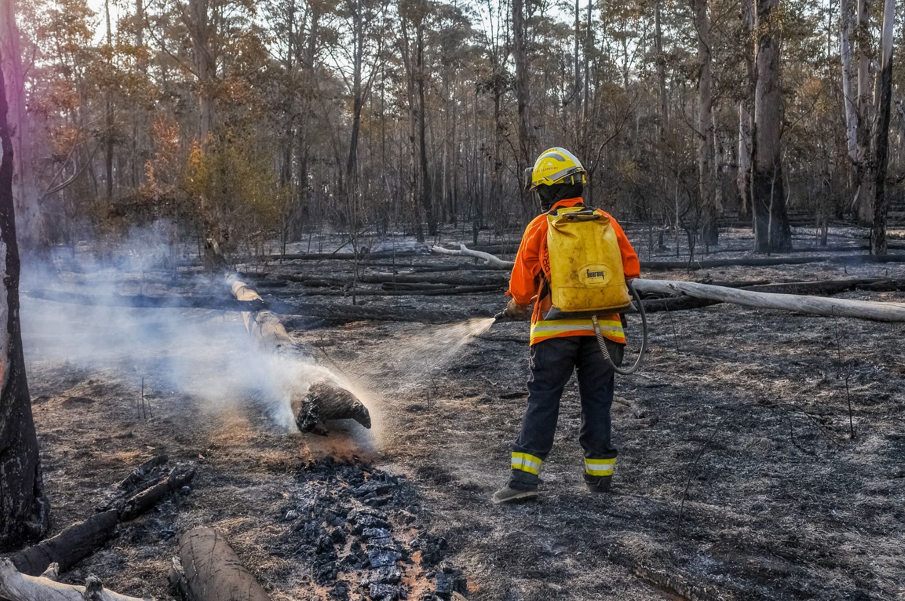 Combate a queimadas em área de Cerrado no Distrito Federal: bioma tem 82% do desmatamento em propriedades privadas (Foto: Joel Rodrigues/Agência Brasília - 10/09/2021)